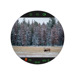 Прицел цифровой Veber DigitalHunt R25X4-32 ночной, фото 9