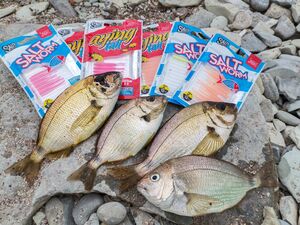 Черви съедобные искусственные LJ Salty Sensation SALT WORM 2.0in (05,00)/S30 12шт., фото 3