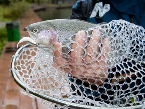 Подсачек разборный LJ Area Trout Game 115х35х45см силиконовый, фото 7
