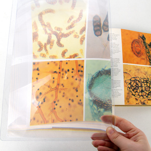 Линза Френеля Veber 200, 2x, 180x260 мм, фото 2