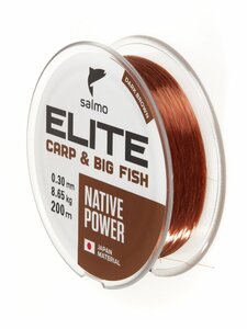 Леска монофильная Salmo Elite CARP & BIG FISH 200/030, фото 4