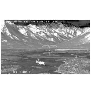 Прицел цифровой Veber DigitalHunt R50X3.9 HD ночной, фото 11